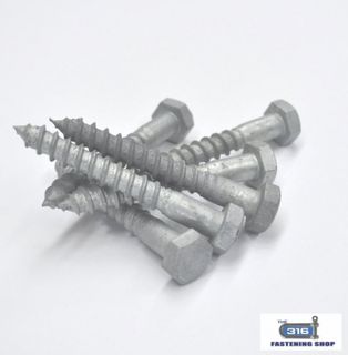 Coach Screws Galvanised