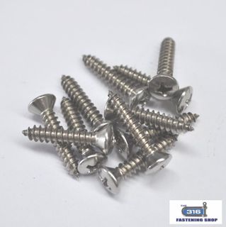 8G Raised CSK Phillips Self Tapping Screws