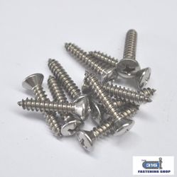 4G Raised CSK Phillips Self Tapping Screws