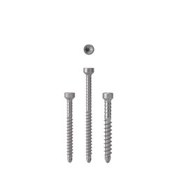 AnchorMark Timber Panel Screw A4 3.5x50 x 500