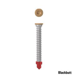 AnchorMark Decking Screw A4 316 S2 5.5x45 TTM\BiMetal Blackbutt x 100