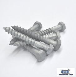 Coach Screw M10 X 90 Gal x 1
