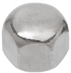 Nut Hex Cap M6 304 x 1