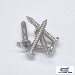 10G Pan Phillips Self Tapping Screws