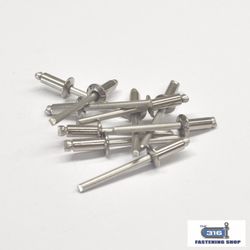 Rivet 6-5 304 x1