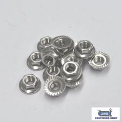 Nut Flanged M4 304