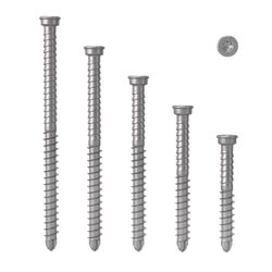 AnchorMark Decking Screw A4 316 S2 5.5x50 x 1000