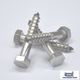 Coach Bolts Stainless