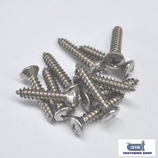 10G Raised CSK Phillips Self Tapping Screws