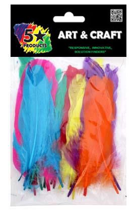 FEATHERS COLOURED LARGE 25PC