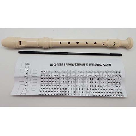 SCHOOL RECORDER