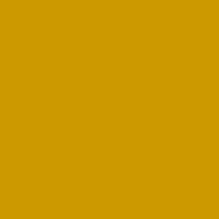 ARTISTS INK W/B YELLOW OCHRE 115 ML^