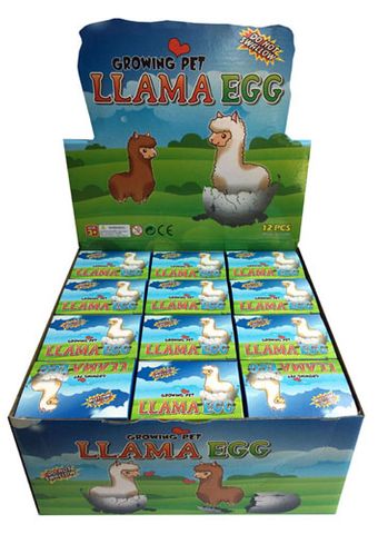 GROWING LLAMA IN EGG DISPLAY OF 12