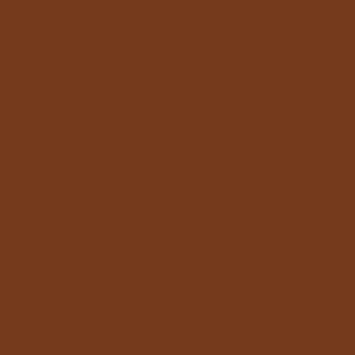 ACRYLIC COLOUR BURNT SIENNA 90 ML TUBE