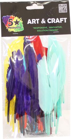 FEATHERS 60PCS FIRM ASSTD COLOURS