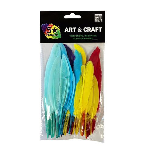 FEATHERS 60PCS FIRM ASSTD COLOURS