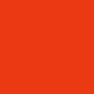 DU-KIT 20 SCARLET 250G