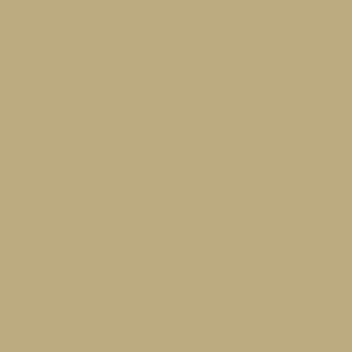 DU-KIT 101 STONE 250G