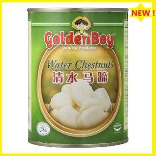 GOLDEN BOY CANNED WATER CHESTNUT 567GX24