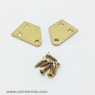 Brass Hinge Plate( pair)