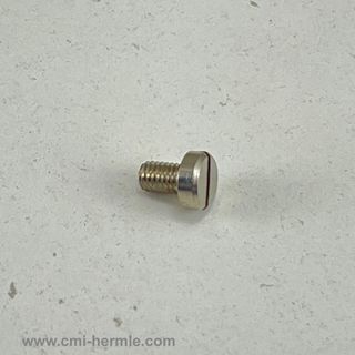 Locking Gear Bridge Screw to suits W.00471- W.01171