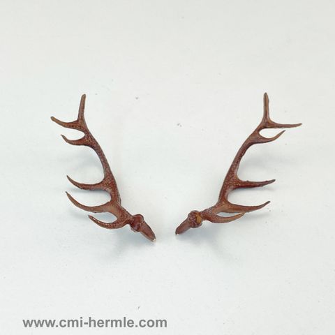 Buy Cuckoo - Plastic Antlers 60mm Pair in Australia - CMI Hermle