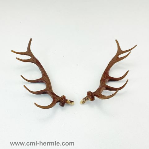 Cuckoo - Plastic Antlers 90mm Pair