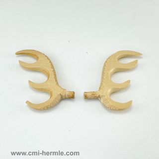 Cuckoo - Wood Antlers 65mm Pair -Flat Carved Natural