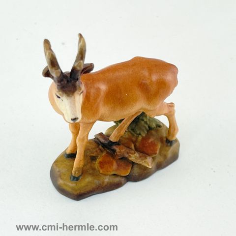 Cuckoo -Animals -Buck Deer 80mm -Resin