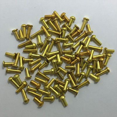 Rivets Assorted (100 pack)