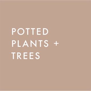 Potted Plants & Trees