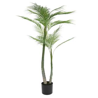 Palm Tree 114cm In Black Pot 15x13cm