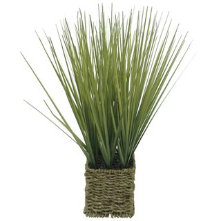 Onion Grass 41cm In Woven Basket