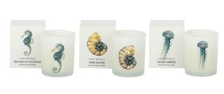Oceania 5% Scent Candle 6.5x7cm 3 Asst
