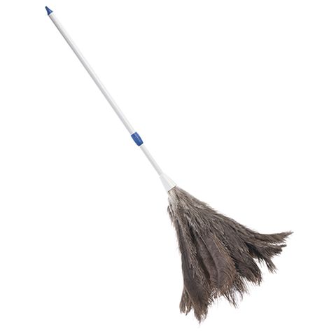 OATES FEATHER DUSTER WITH EXTENSION HANDLE