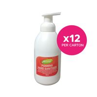 Veridia Foaming Hand Sanitiser 12 x 500mL