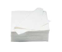 Dinner Napkin 2Ply Quarter Fold White 10 x 100
