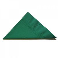 ALPEN 2Ply Lunch Napkin Dark Green 20x100