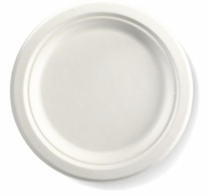 BIO Sugarcane Eco Plate 230mm 4 x 125