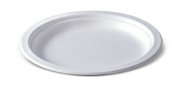 BIO Sugarcane Eco Plate 180mm 8 x 125