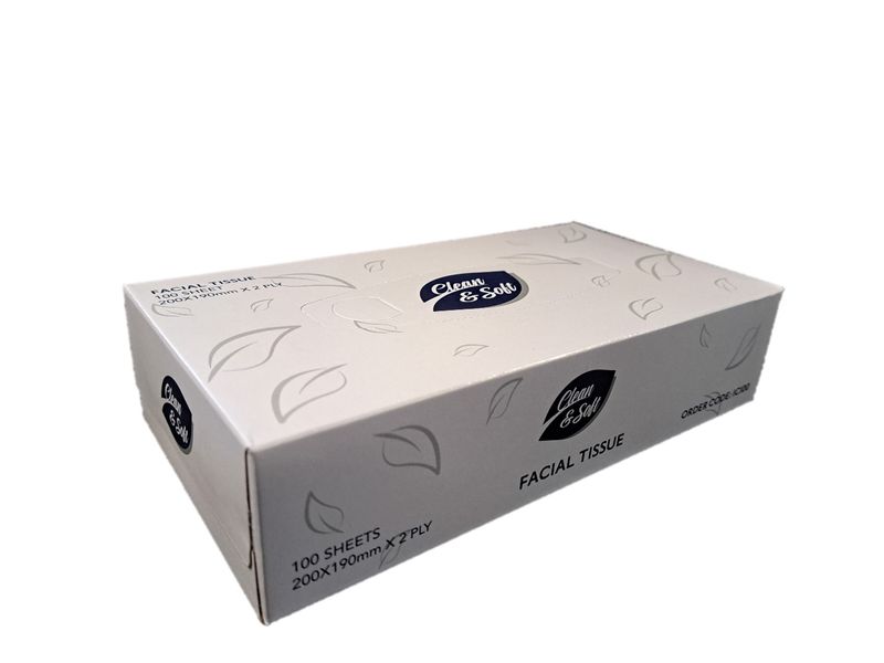 CLEAN & SOFT 2Ply Facial Tissues 100 Sheet (48)