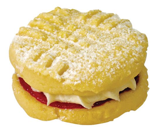 COOKIE CONCEPTS Monte Carlo (18)