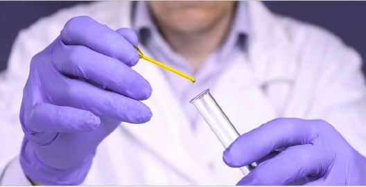 Nitrile Glove P/Free Purple Large 10x100