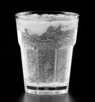 Polycarbonate 8 Facet 350mL