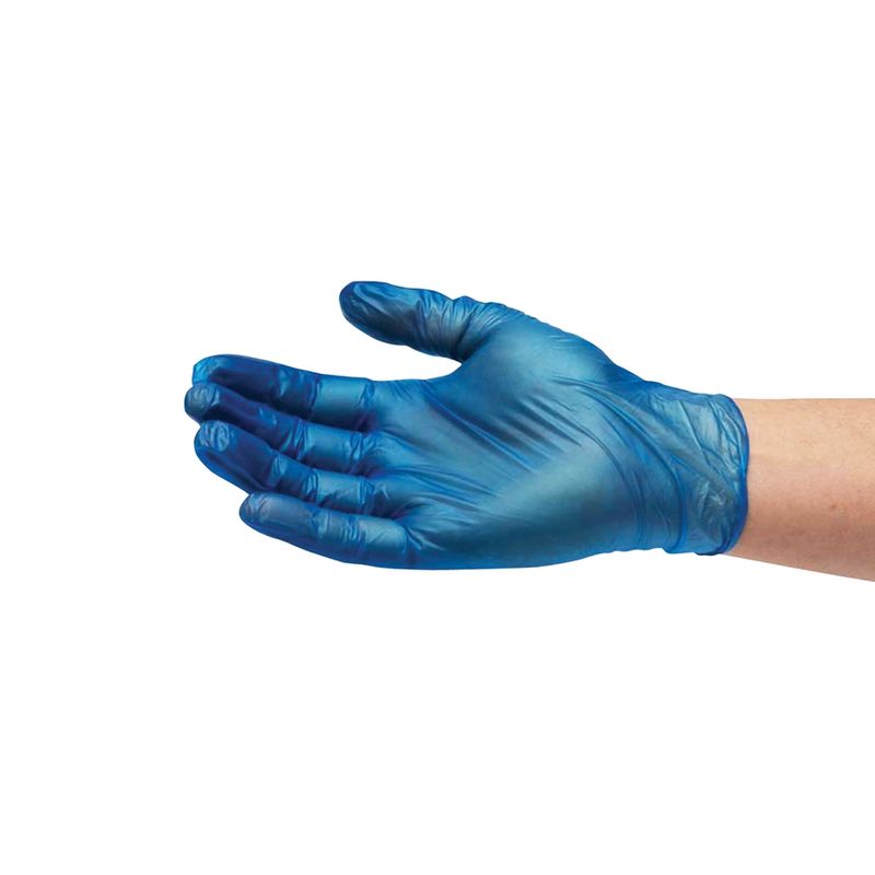 Blue Vinyl Glove P/Free XLarge 10x100