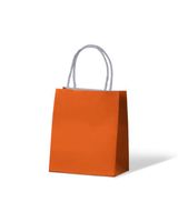 Twist Handle Bag Citrus Orange Toddler 200 x 170+100mm 250