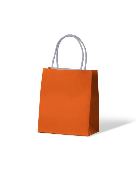 Twist Handle Bag Citrus Orange Toddler 200 x 170+100mm 250