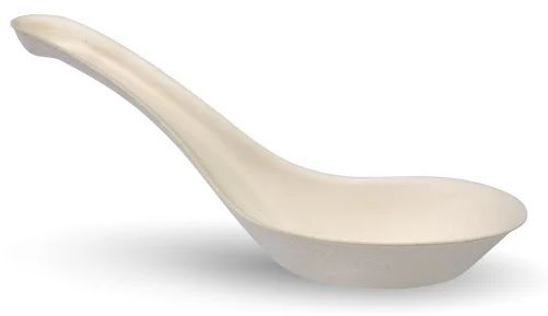 BIOPAK BioCane Chinese Soup Spoon 14cm 8 x 125