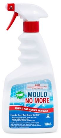 CLEAN+ Mould No More 12 x 750mL