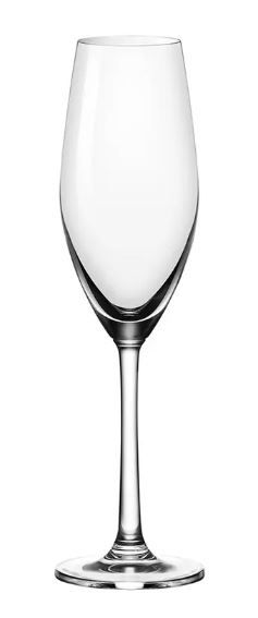 OCEAN Sante Champagne Flute 210mL (24)